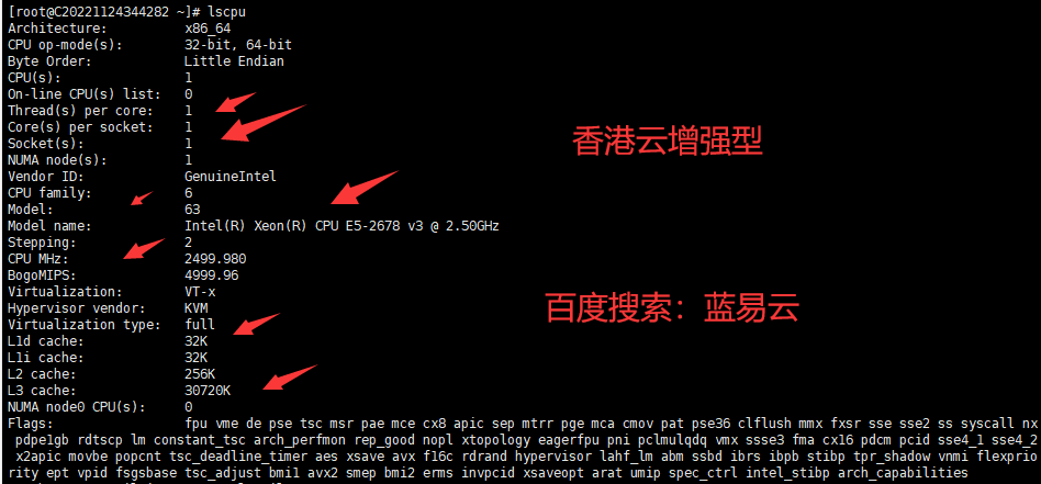 CPU信息